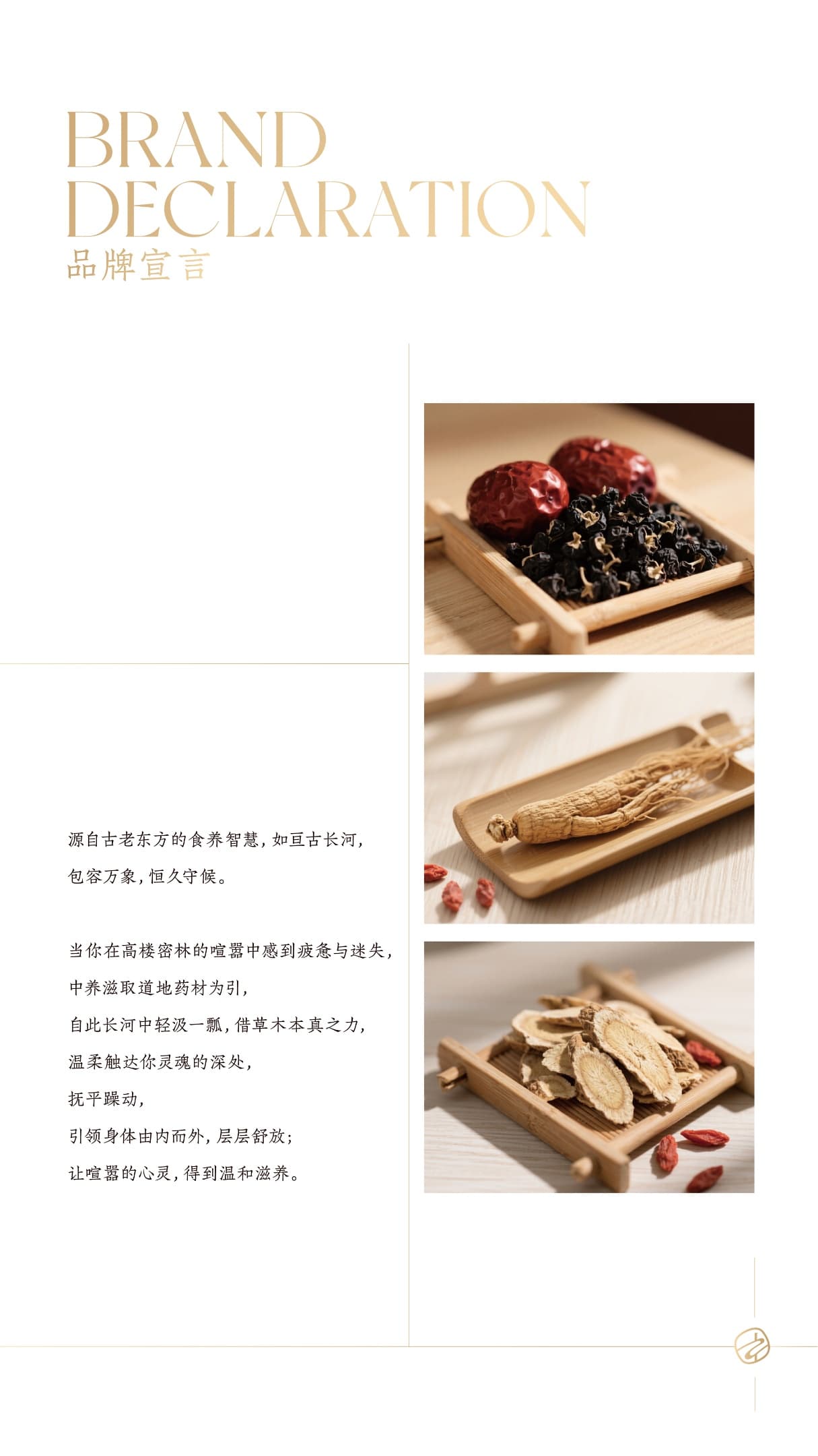 中养滋产品展示